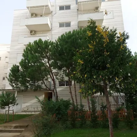Pine Qerret * Golem (Tirana)