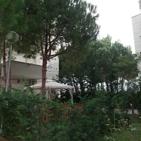 Pine Qerret Apartment Golem (Tirana)